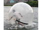 Bola inflável colorida da água, bola inflável de flutuação do hamster para seres humanos fornecedor