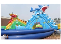 dragão grande de encerado do PVC de 0.9MM/parque inflável água do tubarão com grande piscina azul